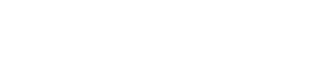 DV Motors